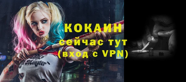индика Вяземский