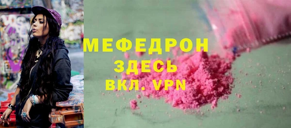 индика Вяземский