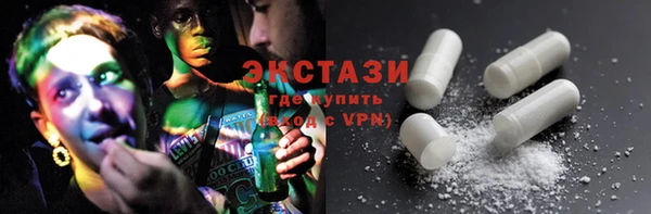 индика Вяземский