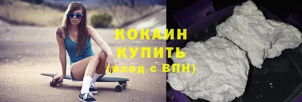 индика Вяземский