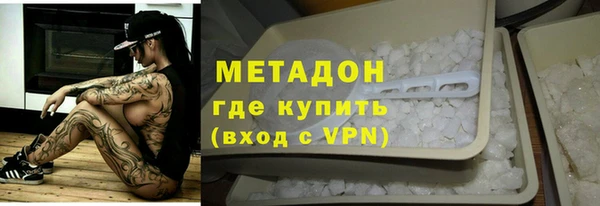 индика Вяземский
