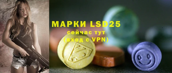 индика Вяземский