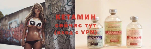 индика Вяземский