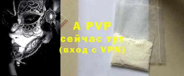 индика Вяземский