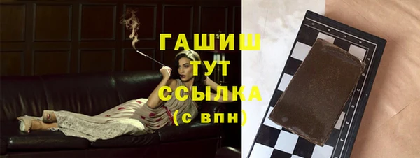 индика Вяземский