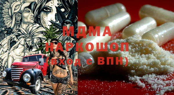 индика Вяземский