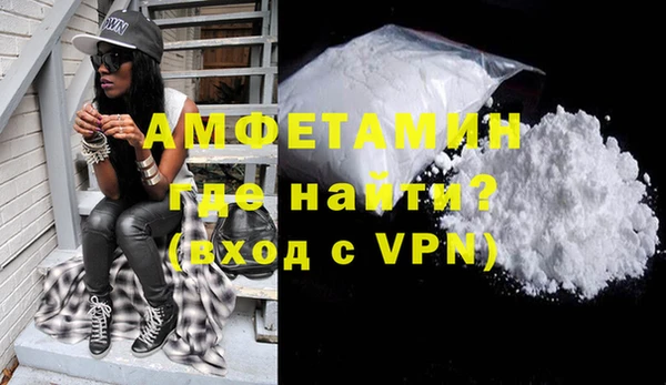 индика Вяземский