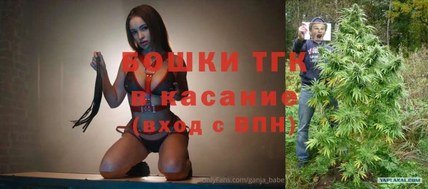индика Вяземский