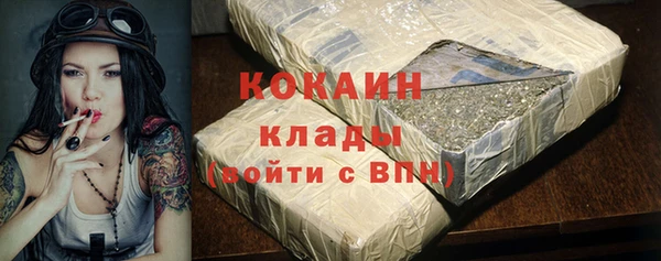 индика Вяземский