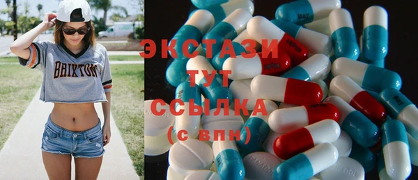 индика Вяземский