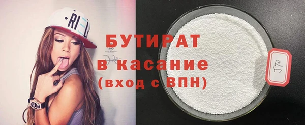 индика Вяземский
