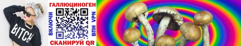 МЕГА tor  как найти закладки  Пестово  Псилоцибиновые грибы Psilocybe 